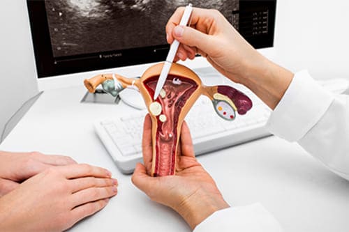 consulta ginecologica particular